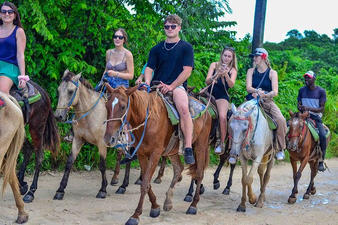 Punta Cana Beach Horseback Ride Paradise Coast Experience - A closer look at the $76 value