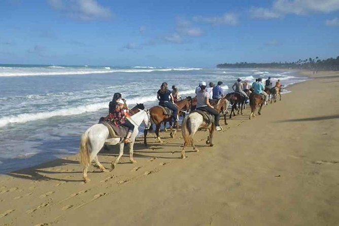 Punta Cana Beach Horseback Riding - Key Things to Know Before You Ride