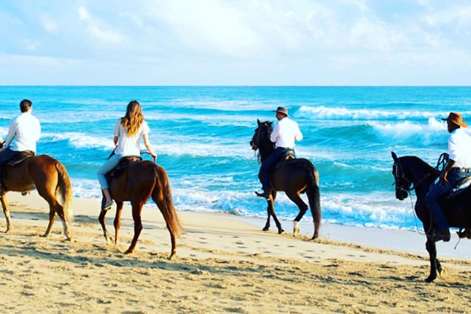 Punta Cana Beach Horseback Riding - Horses and Beginner Instruction