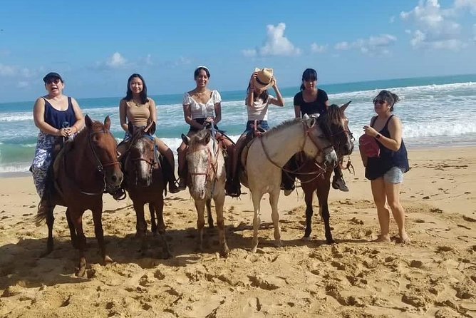Punta Cana Beach Horseback Riding - Group Size, Pace, and the Solo Rider Question