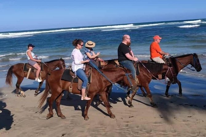 Punta Cana Beach Horseback Riding - Transportation Is the Part to Plan Carefully
