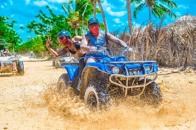 Punta cana Boogie into the Jungle with Coffee and Chocolate Taste - Coffee, cocoa, tobacco, and Dominican flavors