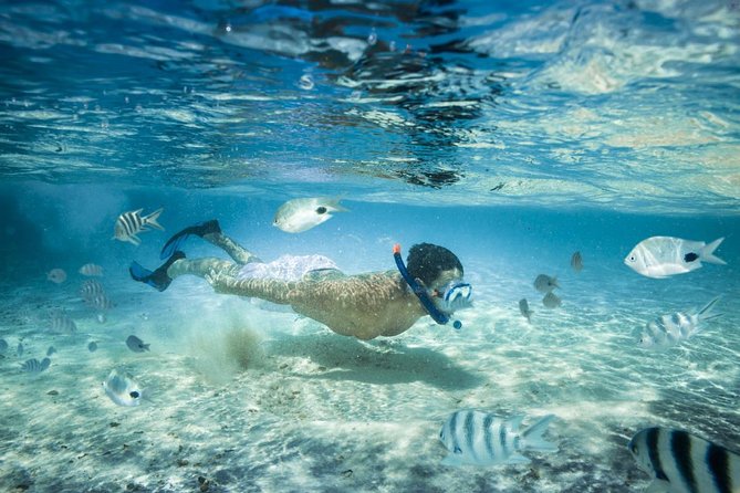 Punta Cana Booze Cruise with Snorkeling, Natural Pool & Open Bar - Key points to know before you book