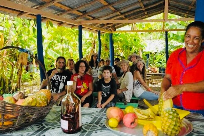 Punta Cana Buggy Adventure - A traditional house and the cacao lesson