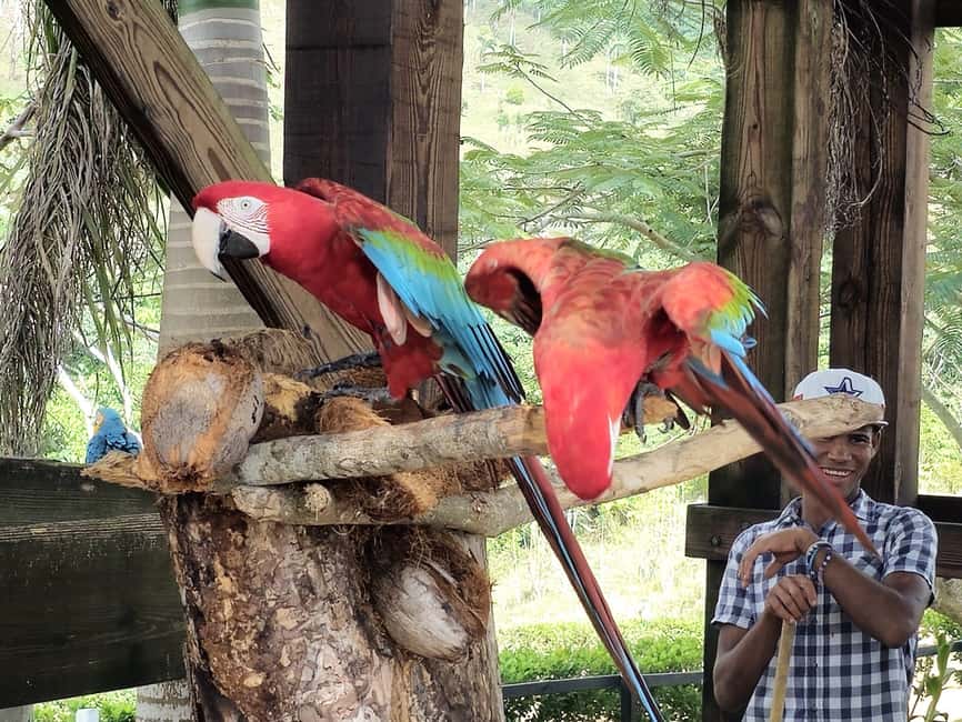 Punta Cana: Buggy and Zipline Adventure at La Hacienda - What your day at La Hacienda feels like