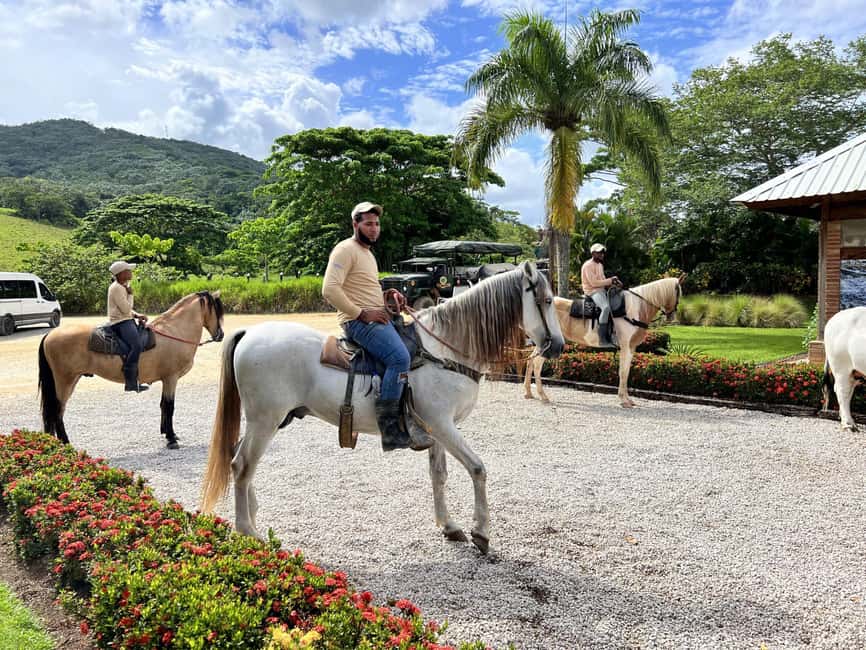 Punta Cana: Buggy and Zipline Adventure at La Hacienda - The zip lines reach 160 meters high