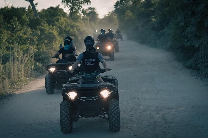 Punta Cana: Buggy Ride, Dinner and Taino Party - Music, dancing, and the final carnival show