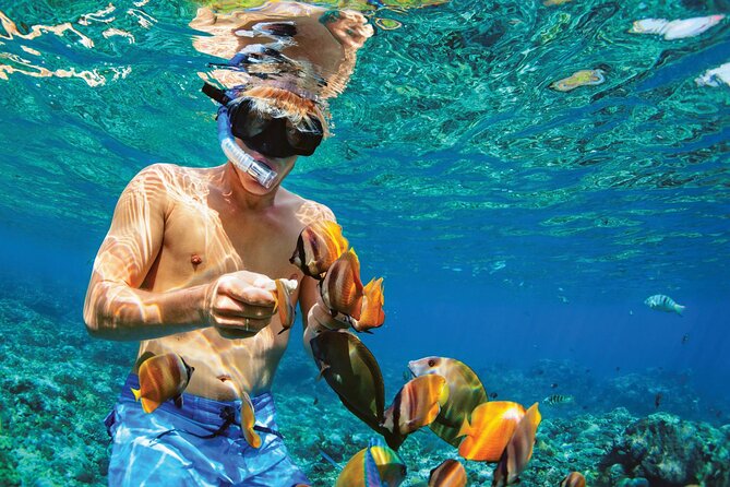Punta Cana Catalina Island Catamaran Tour Package Deal - Leaving Punta Cana at 7:00 am