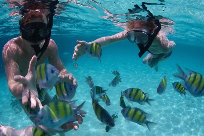 Punta Cana Catalina Island Catamaran Tour Package Deal - Four hours on Catalina Beach