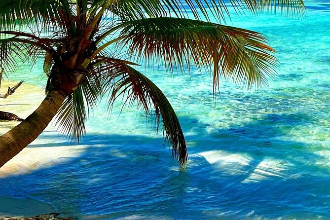 Punta Cana Catalina Island Catamaran Tour Package Deal - Is $70 a fair price?