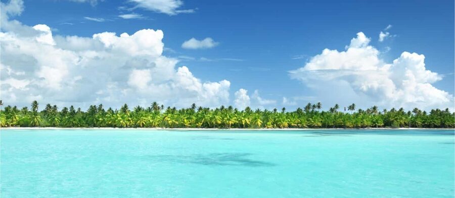 Punta Cana: Catalina Island Snorkeling Trip with Lunch - Buffet lunch and Caribbean flavors