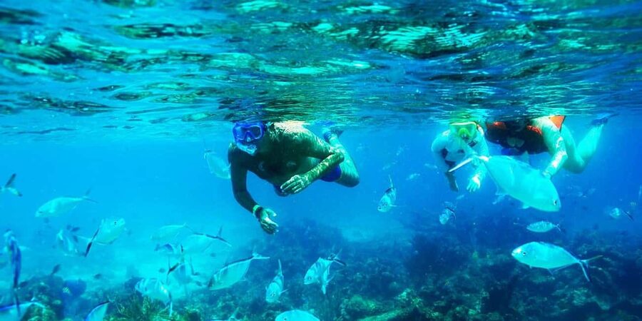 Punta Cana: Catalina Island Snorkeling Trip with Lunch - FAQ