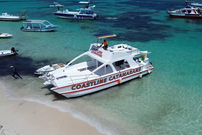 Punta Cana: Catamaran Tour, Reef Snorkeling and Unlimited Drinks! - Food, unlimited drinks, and the onboard waterslide