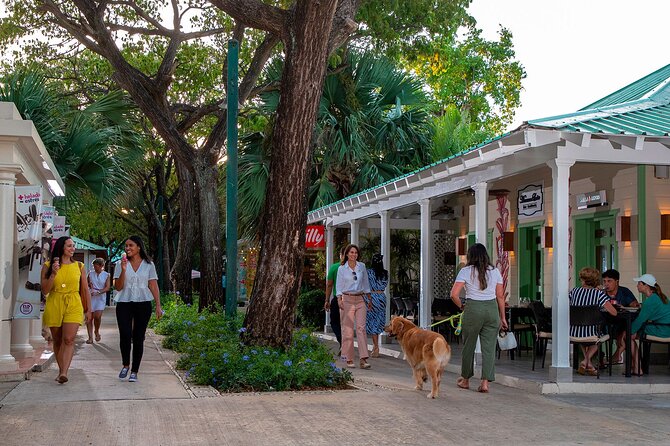 Punta Cana City Tour Explore the Heart of the City - Downtown Punta Cana and Bávaro City Center