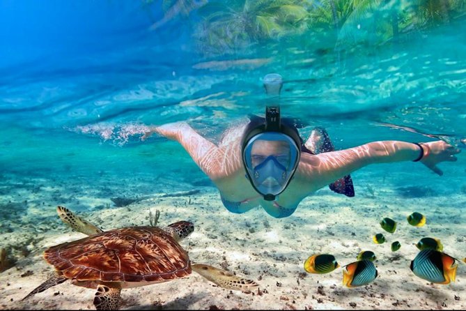 Punta Cana Combo Tour: Snorkeling, Catamaran Cruise & Parasailing - Why the schedule can stretch from 4.5 hours to 7 or 8