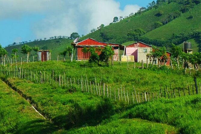 Punta Cana: Cultural half-day tours in the Dominican Republic - A short horseback ride through Higüey