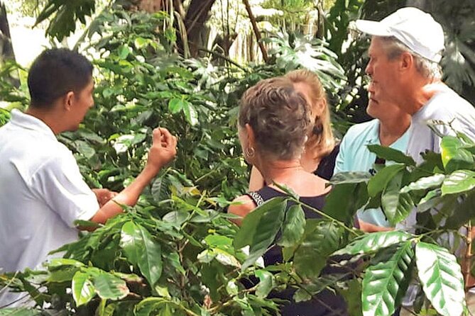 Punta Cana: Cultural half-day tours in the Dominican Republic - Macao Beach gives the day a strong finish