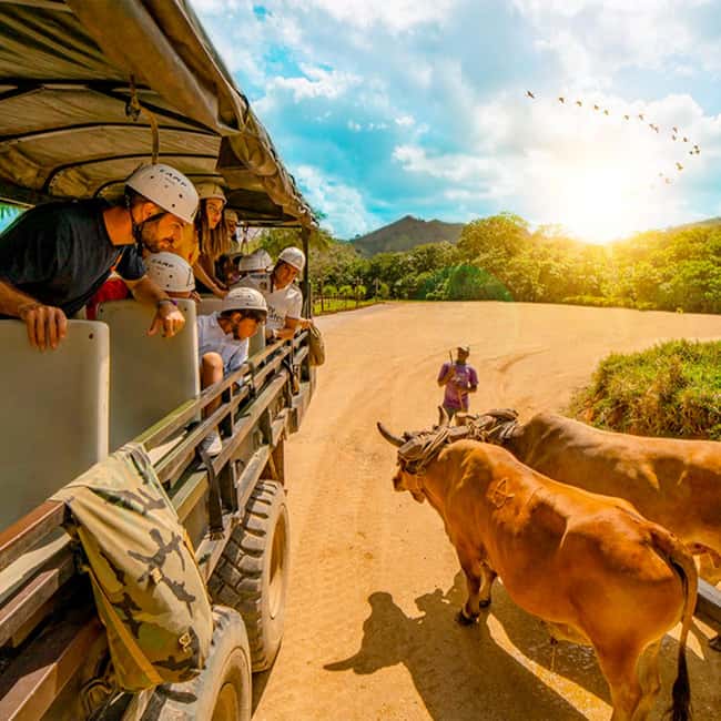 Punta Cana Cultural Tour History and Traditions Small Group - Key points to know before booking