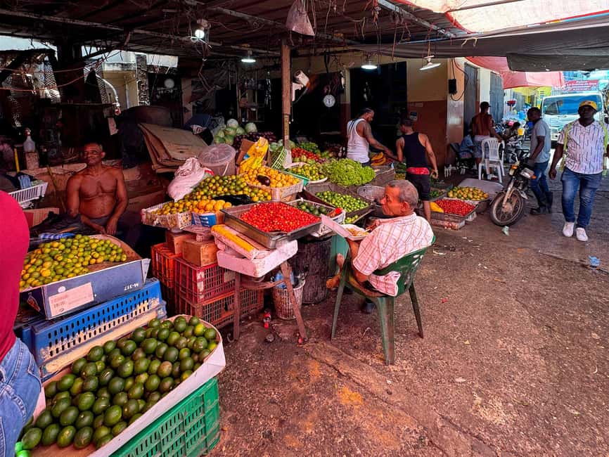 Punta Cana Cultural Tour History and Traditions Small Group - What the $53 price really covers