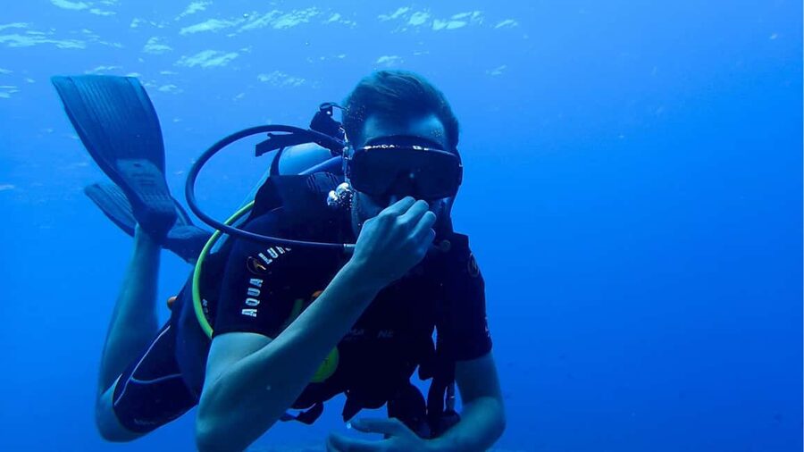 Punta Cana: Dive the Coral Paradise of Catalina Island - Catalina Island gives you two very different underwater settings