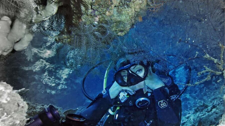 Punta Cana: Dive the Coral Paradise of Catalina Island - Group size and waiting can shape your day