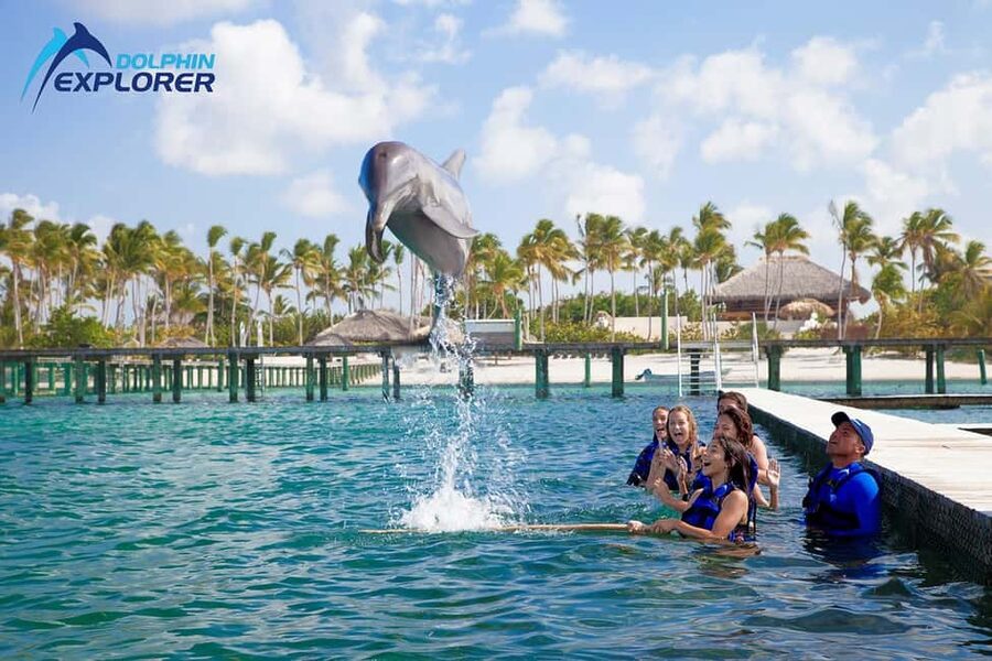 Punta Cana Dolphin Adventure: 40-Minute Interaction - Key points to know before booking