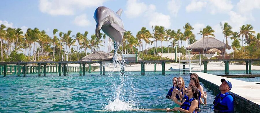 Punta Cana Dolphin Adventure: 40-Minute Interaction - Cancellation and payment flexibility
