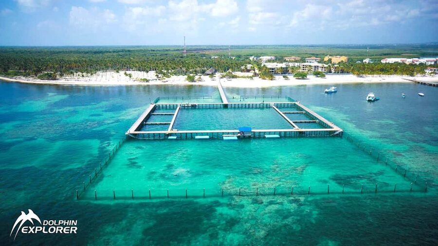 Punta Cana Dolphin Adventure: 40-Minute Interaction - What the Punta Cana dolphin program is really like