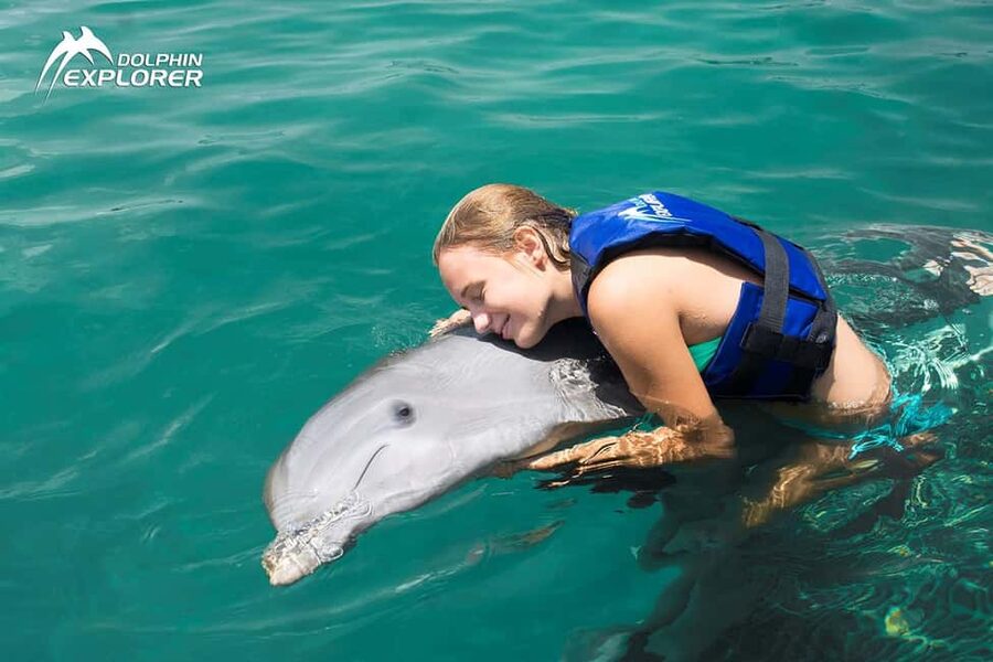 Punta Cana Dolphin Adventure: 40-Minute Interaction - Group size, dolphin time, and the value of $167