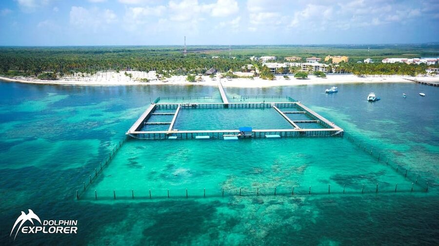 Punta Cana Dolphin Adventure: 40-Minute Interaction - Family rules that can change your total cost