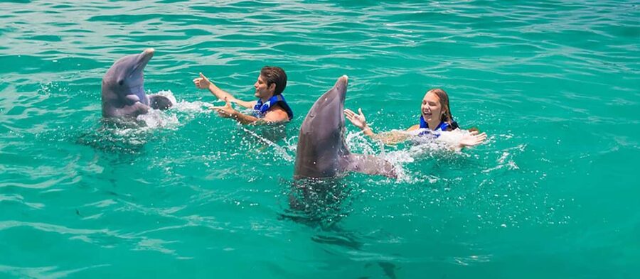 Punta Cana Dolphin Adventure: 40-Minute Interaction - Hotel pickup across five Punta Cana areas