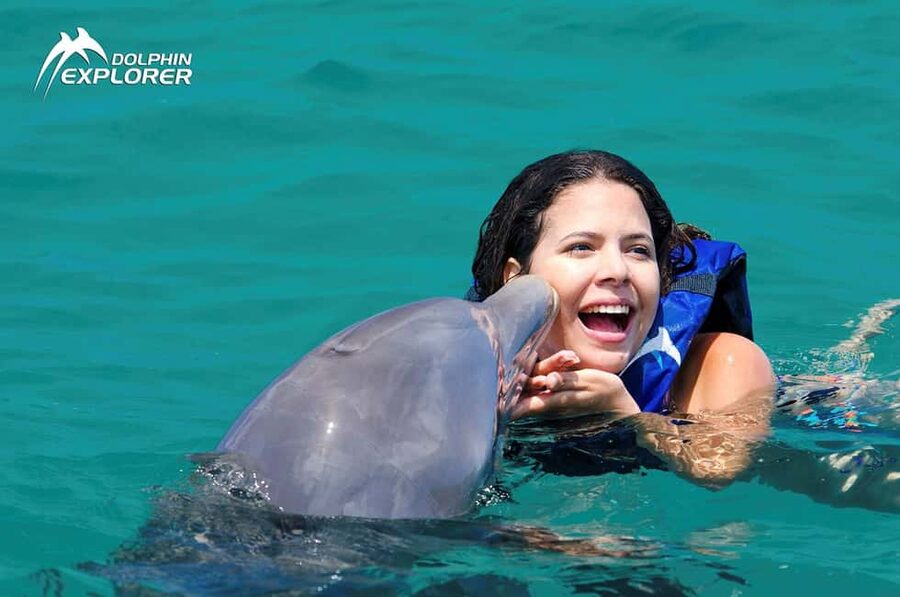 Punta Cana Dolphin Adventure: 40-Minute Interaction - What to bring and how to prepare