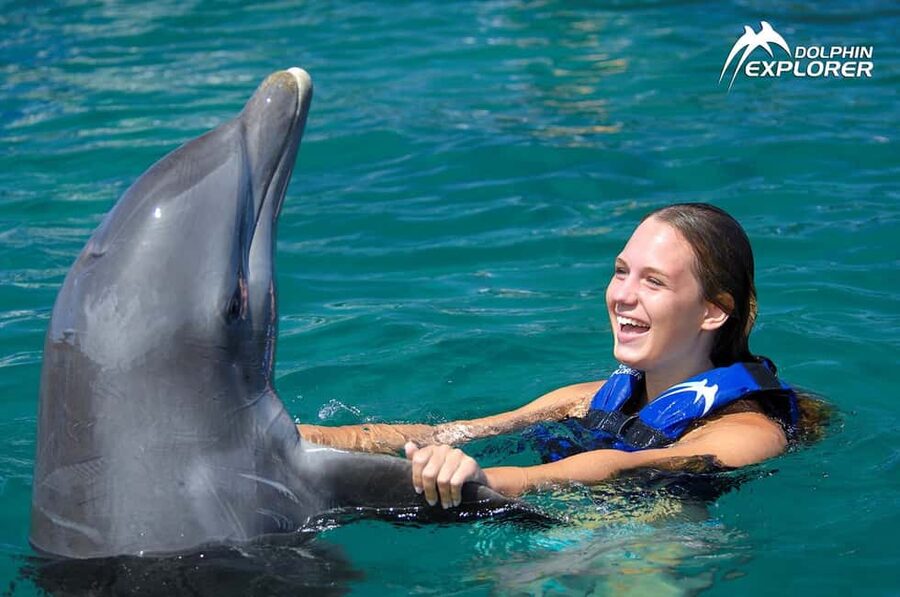 Punta Cana Dolphin Adventure: 40-Minute Interaction - Who will enjoy this experience most