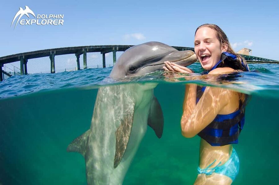 Punta Cana Dolphin Adventure: 40-Minute Interaction - The four-hour schedule, from hotel lobby to dolphin pool