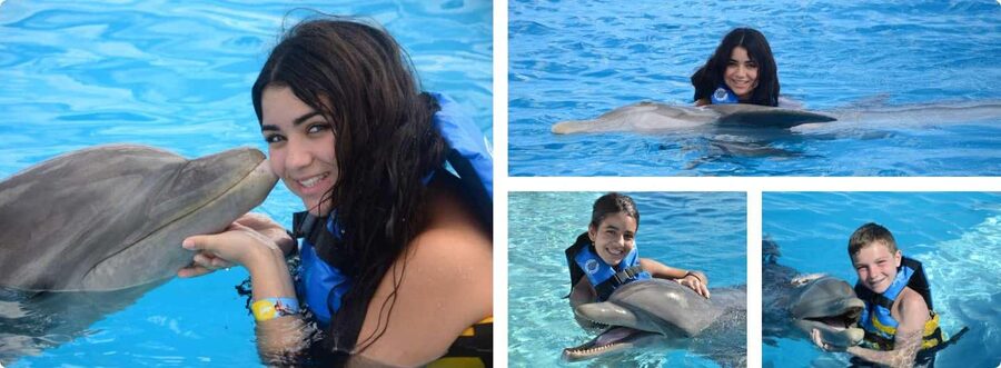 Punta Cana: Dolphin Explorer Park Entry, Swim, or Encounter - Key points to know before you book