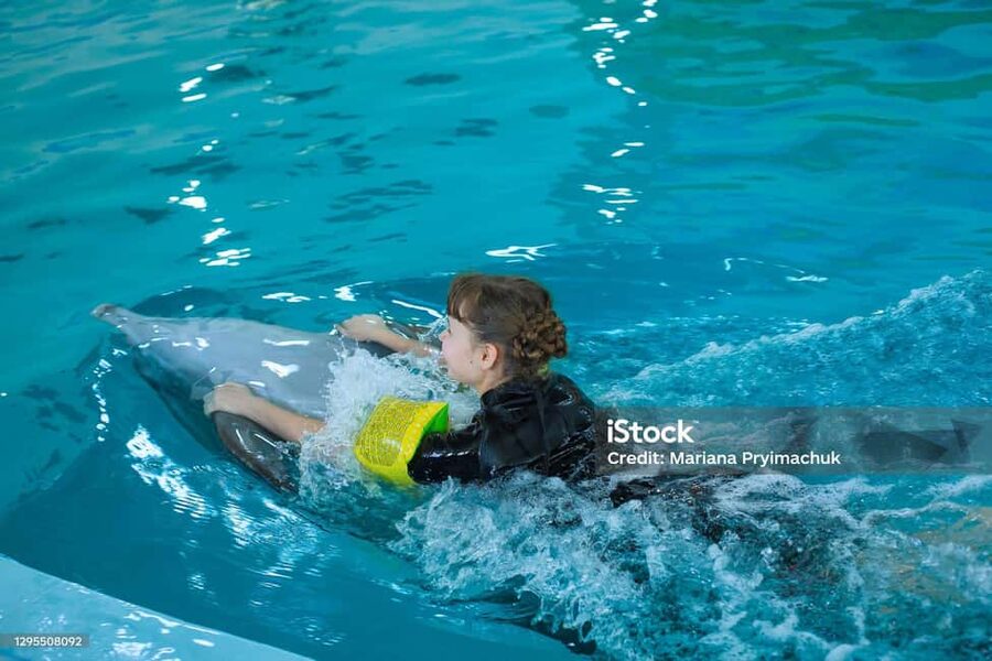 Punta Cana: Dolphin Explorer Park Entry, Swim, or Encounter - Should you book the Dolphin Explorer experience?