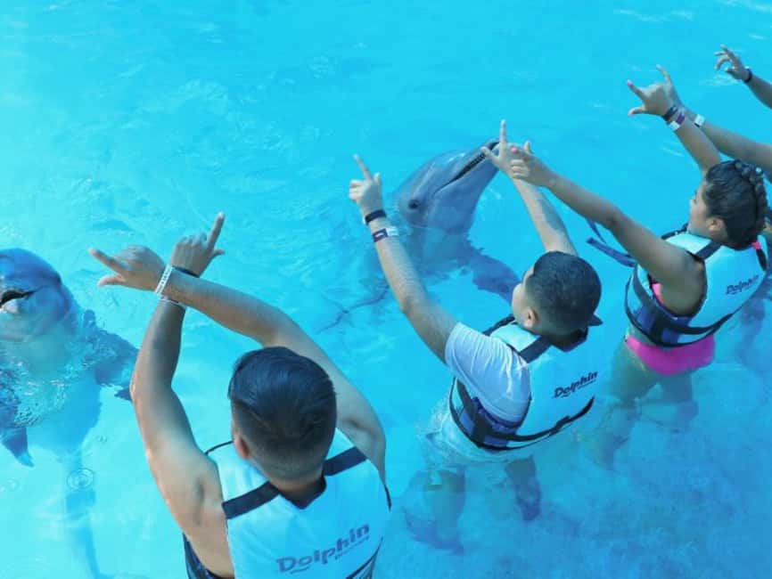 Punta Cana: Dolphin Explorer Park Entry, Swim, or Encounter - Meeting the dolphins at Dolphin Explorer Park