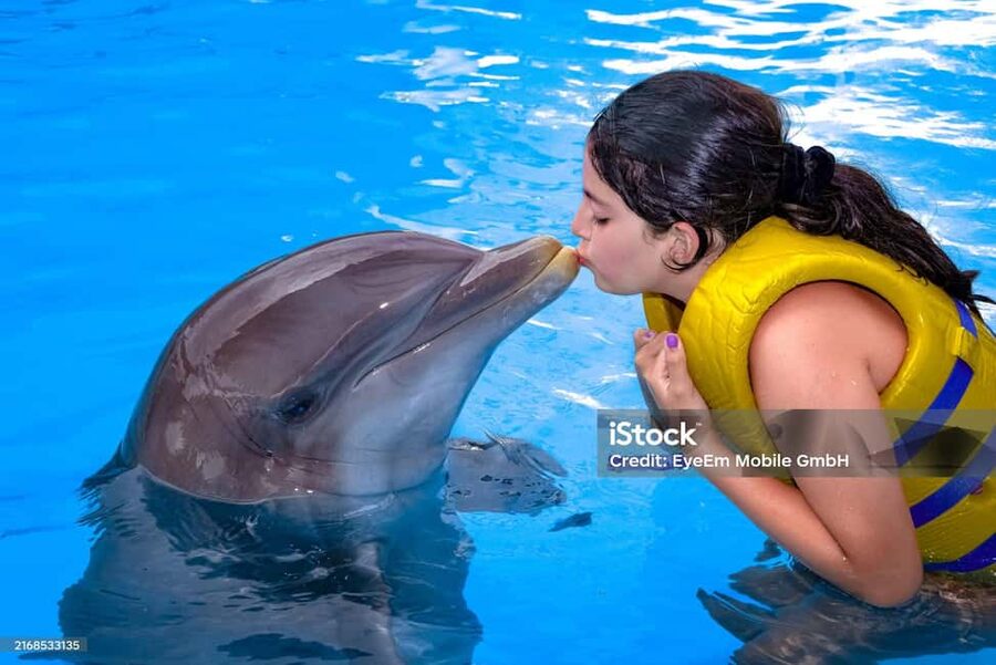 Punta Cana: Dolphin Explorer Park Entry, Swim, or Encounter - The pickup question deserves attention