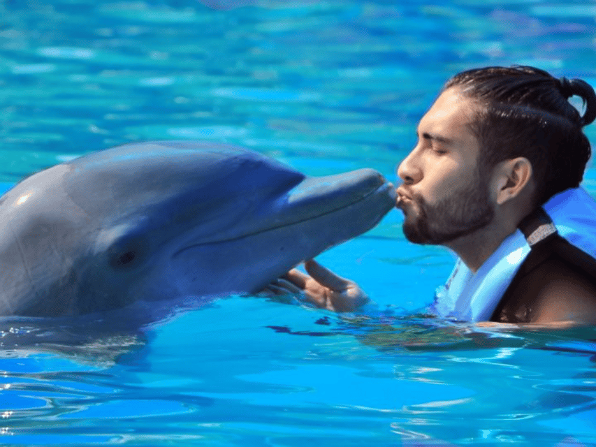 Punta Cana: Dolphin Explorer Park Entry, Swim, or Encounter - Animal welfare is part of the choice