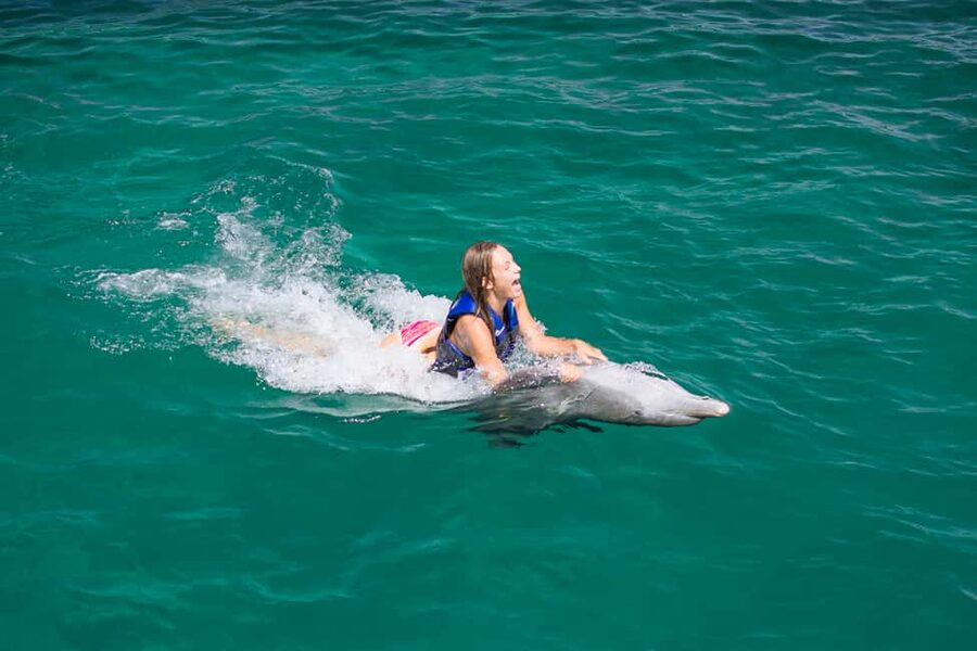Punta Cana: Dolphin Explorer Swims and Interactions - Transport, lockers, and the practical setup