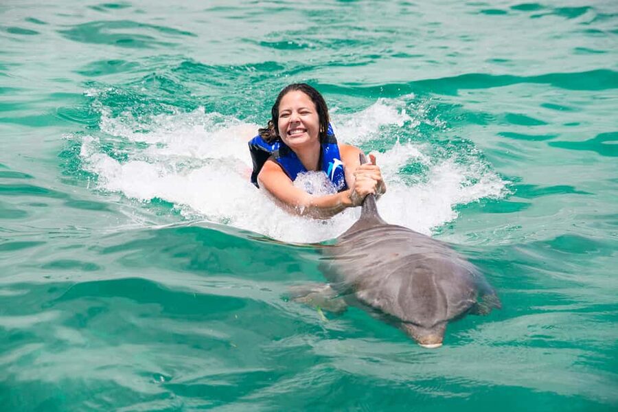 Punta Cana: Dolphin Explorer Swims and Interactions - Extra animal encounters and group expectations