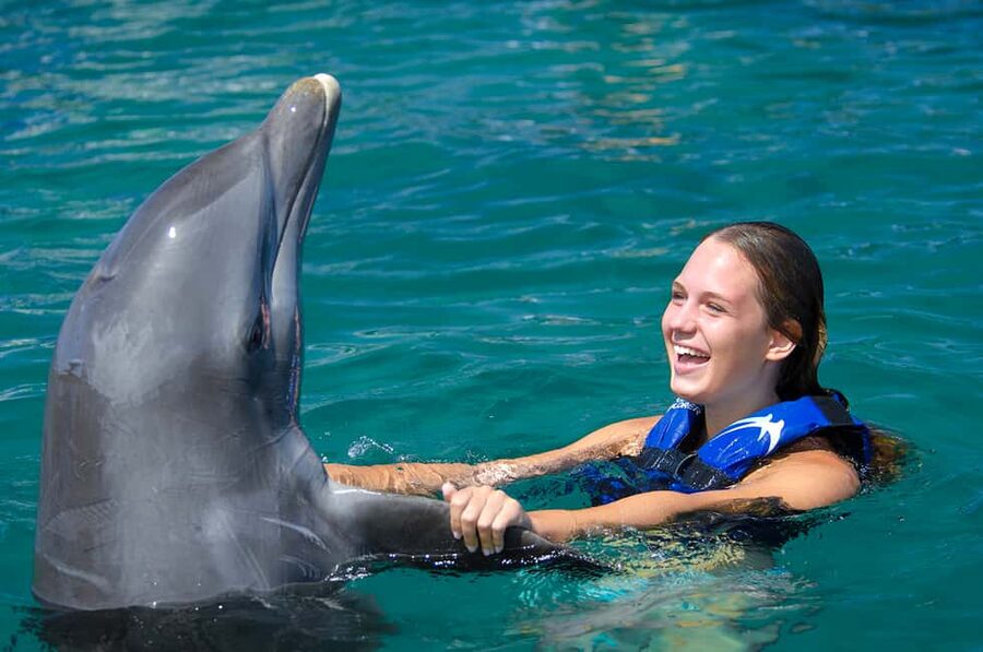 Punta Cana: Dolphin Explorer Swims and Interactions - Choosing between the three programs