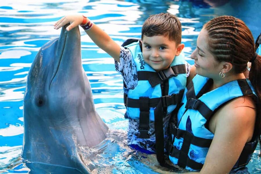Punta Cana: Dolphin Interaction Experience & Hotel Transfers - Key points to know before you book