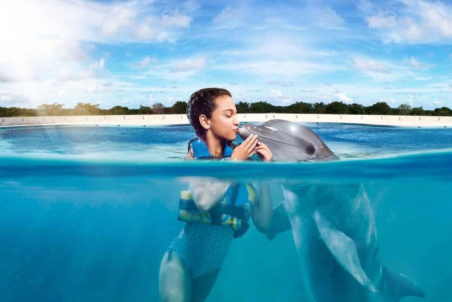 Punta Cana: Dolphin Interaction Experience & Hotel Transfers - Meeting the dolphins at Punta Cana’s marine park