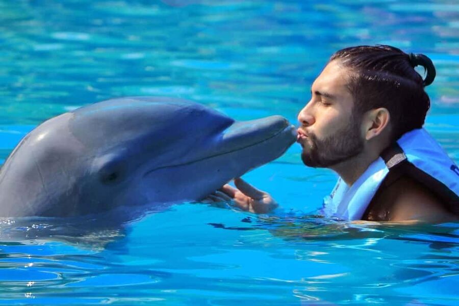 Punta Cana: Dolphin Interaction Experience & Hotel Transfers - The photo question and the real price