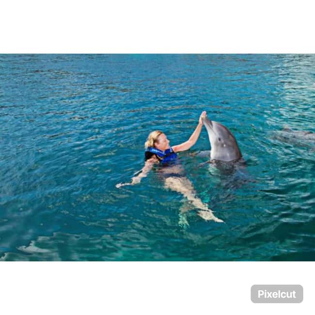 Punta Cana: Dolphin Park Entry and Swim with Dolphins - What one hour really means