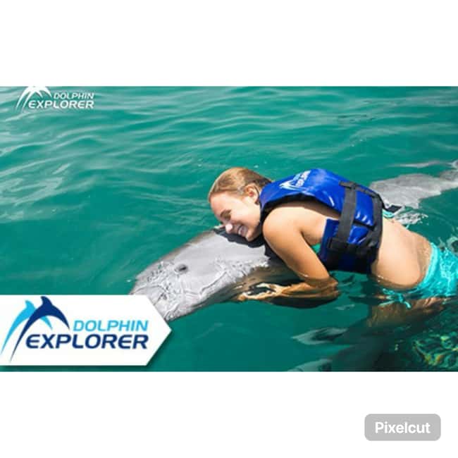 Punta Cana: Dolphin Park Entry and Swim with Dolphins - Why the sea lion show matters
