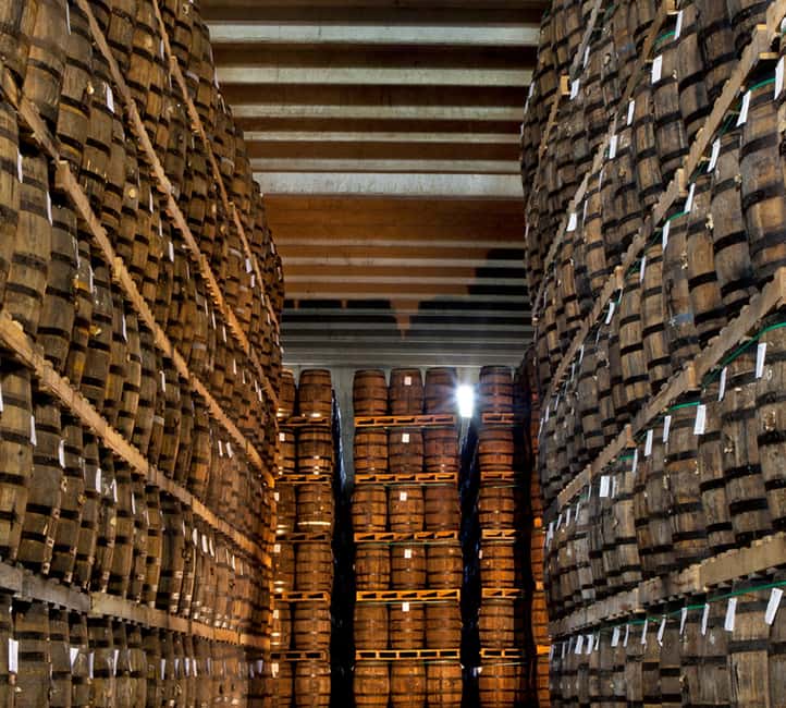 Punta Cana: Dominican Flavors Guided Day Trip - Vega Fina: tobacco from leaf to cigar