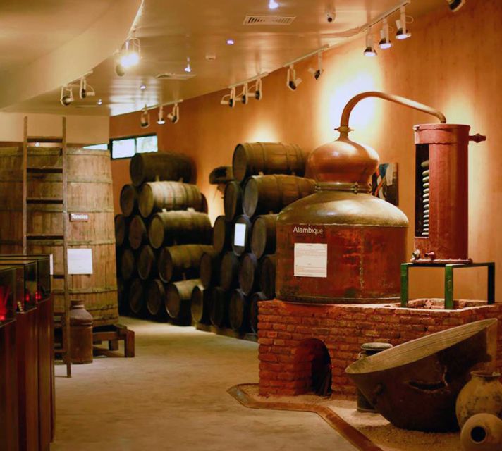 Punta Cana: Dominican Flavors Guided Day Trip - Transport, comfort, and the four-hour promise