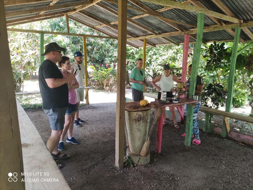 Punta Cana: Dominican Republic Culture Tour - The agricultural market: useful, colorful, and not polished